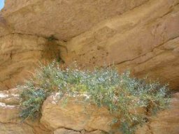 Voyage en Terre Sainte