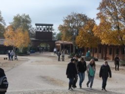 Taize