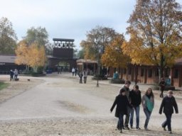 Taize