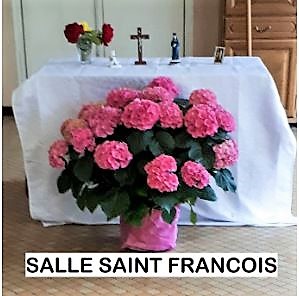 2018 foi et lumiere vignette st francois