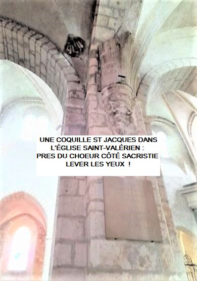 2022 ST VALERIEN COQUILLE ST JACQUES 3