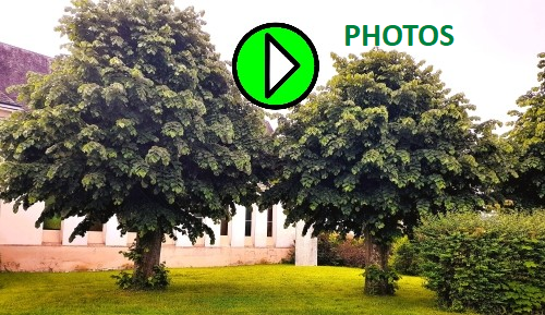 2026 SC LES TILLEULS ELAGAGE STICKER PHOTOS